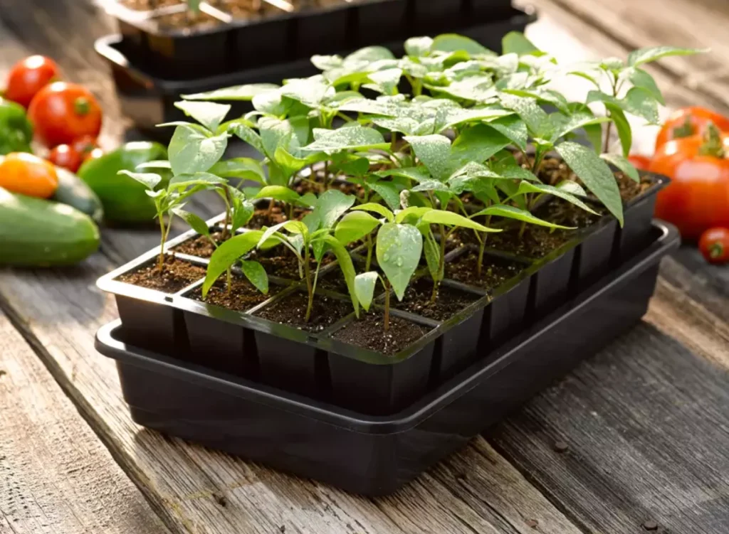 GrowEase Seed Starter Kit best gardening gift
