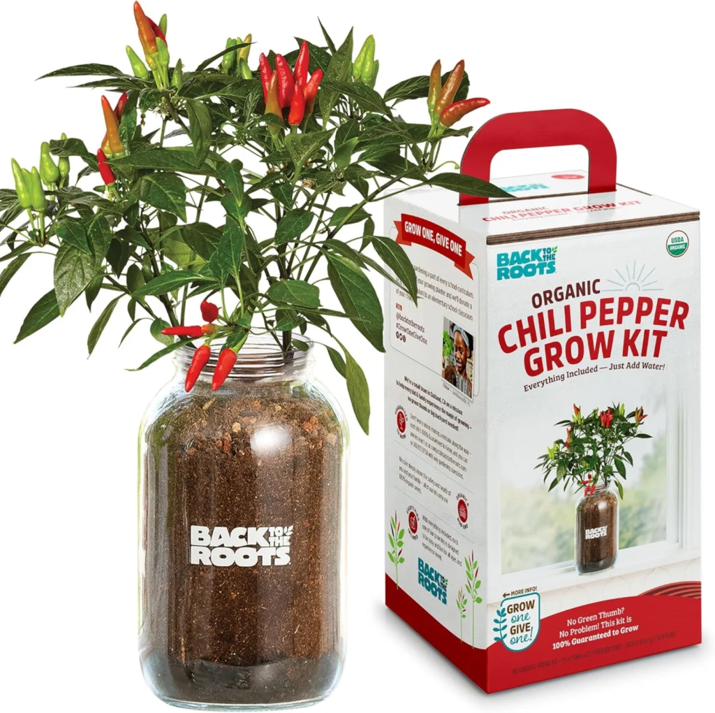 Petite Knock Out Rose Bush - best gardening gift