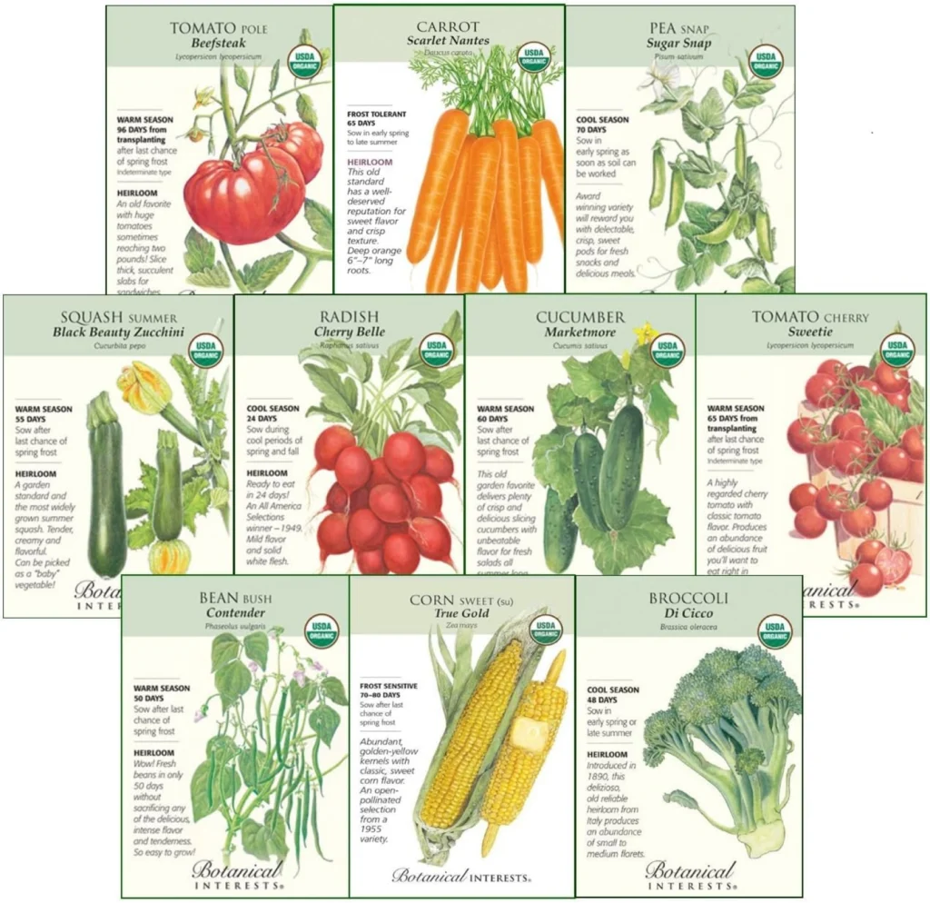 Non-GMO Starter Veggies Seed Collection:
