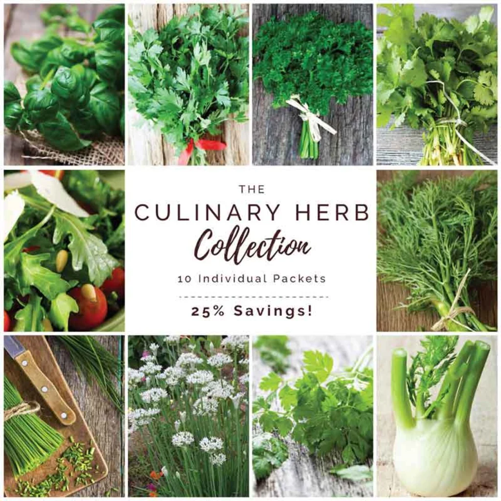 Culinary Herb Seed Collection - best gardening gift