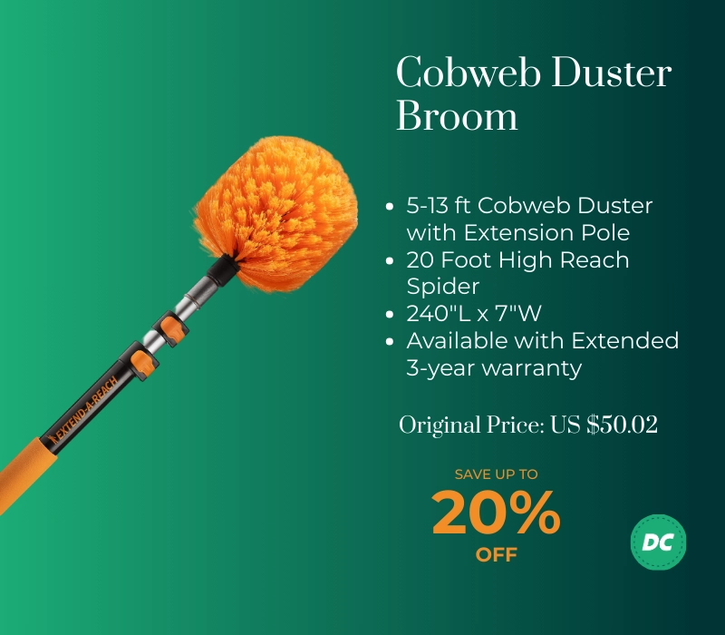 Cobweb Duster Broom